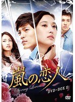嵐の恋人 DVD-BOX II　ドラマ