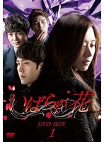 いばらの花 DVD-BOX1　ドラマ