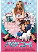 ハツ☆コイ　ドラマ