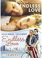エンドレス・ラブ 1981年＆2014年 2枚組DVDセット（初回生産限定）　ドラマ