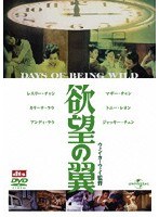 欲望の翼　ドラマ