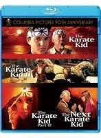 吹替洋画劇場 オリジナル『ベスト・キッド』30周年記念 アニバーサリー コンプリートエディション【初回生産限定】 （ブルーレイディスク）　アクション