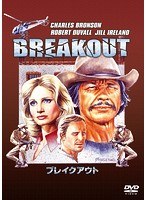 ブレイクアウト　アクション