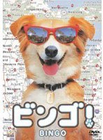 ビンゴ！　ドラマ