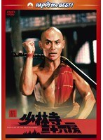 新・少林寺三十六房　アクション