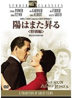 陽はまた昇る ＜特別編＞　ドラマ