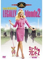 キューティ・ブロンド 2 ハッピーMAX 特別編　ドラマ