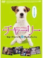 チャーリー 世界一かわいい犬と僕が伝えたいこと　ドラマ