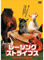 レーシング・ストライプス　ドラマ