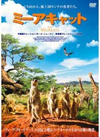 ミーアキャット スペシャル・エディション　ドキュメンタリー