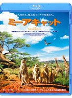 ミーアキャット （ブルーレイディスク）　ドキュメンタリー