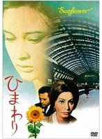 ひまわり HDニューマスター版　ドラマ