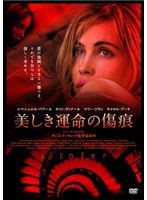美しき運命の傷痕　ドラマ