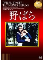 野ばら　ドラマ