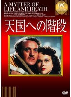 天国への階段　ドラマ