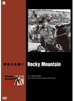 ハリウッド西部劇映画傑作シリーズ 勇魂よ永遠に　ドラマ
