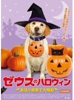 ゼウスのハロウィン おばけ屋敷で大騒動　ドラマ