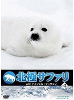 北極サファリ with ナイジェル・マーヴェン vol.5　ドキュメンタリー