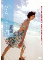 そらいろの樹/相楽樹