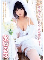 水城るな、只今花嫁修行中!/水城るな
