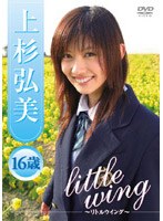 上杉弘美/上杉弘美 little wing