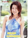 D-Splash�� ��¼�Ҥ���