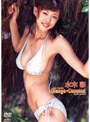 Orange Coconut -����󥸡������ʥå�- ���ں�