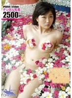 DVD写真集 三花愛良 ~花ブロ~/三花愛良
