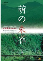 萌の朱雀　ドラマ