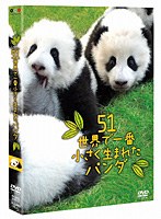 51（ウーイー）世界で一番小さく生まれたパンダ　ドキュメンタリー