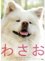 わさお　ドラマ