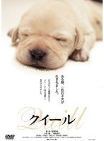 あの頃映画 松竹DVDコレクション クイール　ドラマ