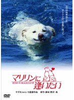 あの頃映画 松竹DVDコレクション マリリンに逢いたい　ドラマ