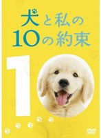 犬と私の10の約束 プレミアム・エディション （2枚組）　ドラマ