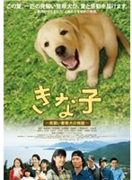 きな子～見習い警察犬の物語～　ドラマ