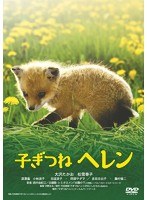 子ぎつねヘレン　ドラマ