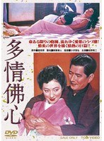 多情佛心　ドラマ