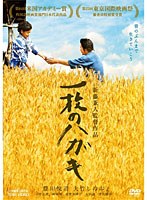一枚のハガキ　ドラマ