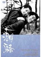 潮騒　ドラマ
