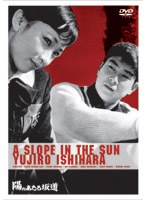 陽のあたる坂道　ドラマ