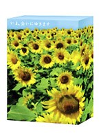 いま、会いにゆきます 初回限定生産DVD-BOX
