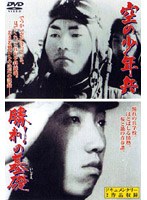 空の少年兵/勝利の基礎（いしずえ）　ドキュメンタリー