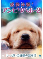 感動体験！アンビリーバボー～わんこの奇跡の贈り物～　ドラマ