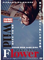 青春H セカンドシーズン Wild Flower ワイルド・フラワー　ドラマ