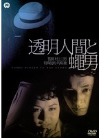 透明人間と蝿男　ドラマ