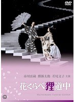 花くらべ狸道中　ドラマ