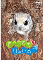 映像絵本「森のいのち・川のいのち」SAVE THE FOREST　ドキュメンタリー