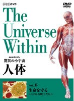 NHKスペシャル 驚異の小宇宙 人体 生命を守る〈免疫〉　ドキュメンタリー