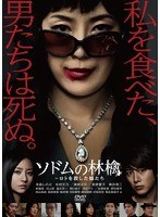ソドムの林檎～ロトを殺した娘たち DVDコレクターズBOX　ドラマ