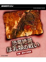 NHKスペシャル 恐竜絶滅 ほ乳類の戦い 後編 （ブルーレイディスク）　ドキュメンタリー